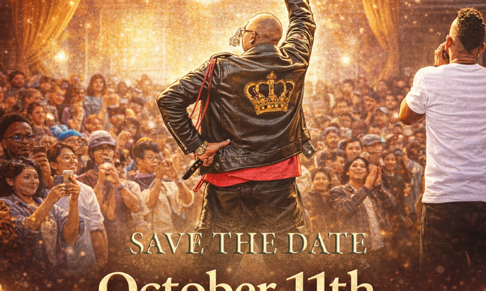 The Pioneer Ball Flyer